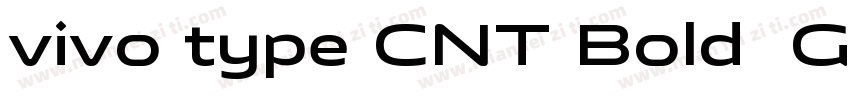 vivo type CNT Bold  GB1字体转换
